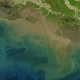 Algae blooms in the Gulf of Mexico are fueled by nutrient runoff from rivers, but also by contaminated groundwater. Image: NASA Earth Observatory